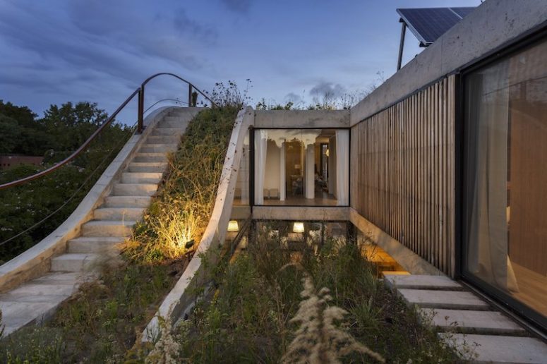 The roof of the house is covered with greenery, plants seem to take over the architecture, and the plants are local