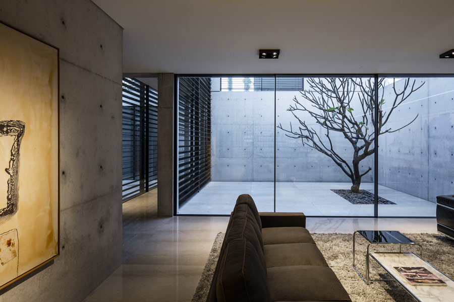There's a private courtyard clad with concrete and with a single tree growing