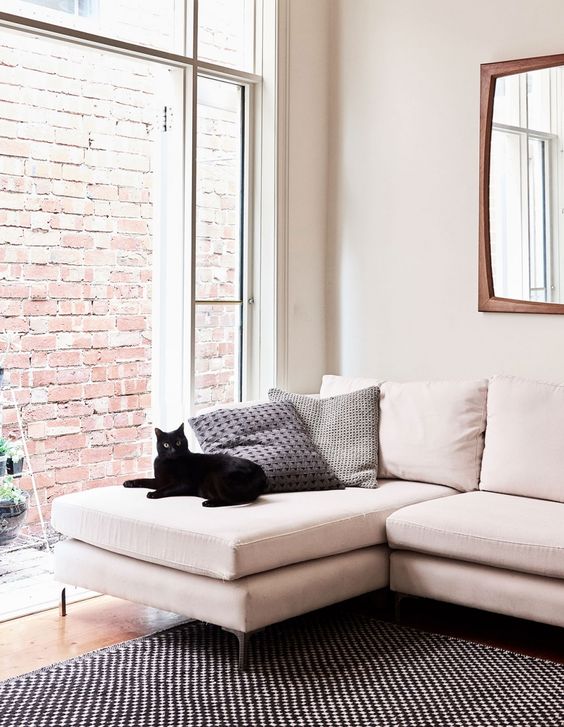 The cat, who's the only man in the house, is having a rest on the sofa in the living room