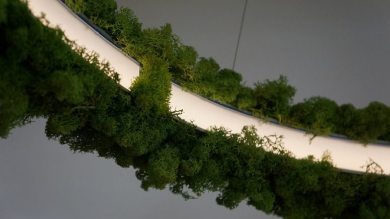 This is pure natural luxury for your home, that will catch an eye for sure and that you can have for years and years