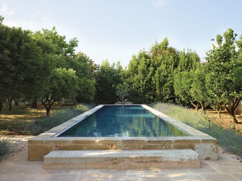 The raised swimming pool alludes to those often found in Middle Eastern gardens