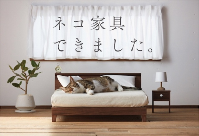 Mini Furniture For Cats That Looks As People’s Furniture
