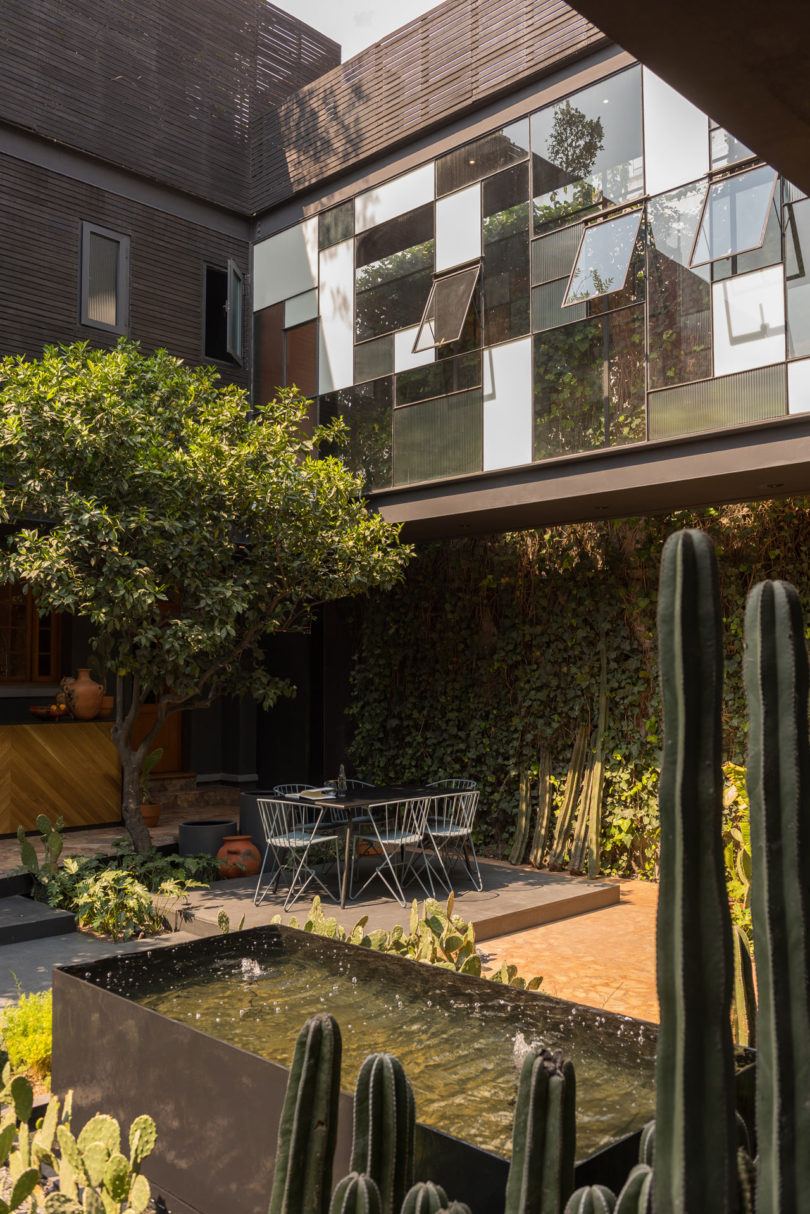 A living wall and a tree create a welcoming amience and give shade to the dining space