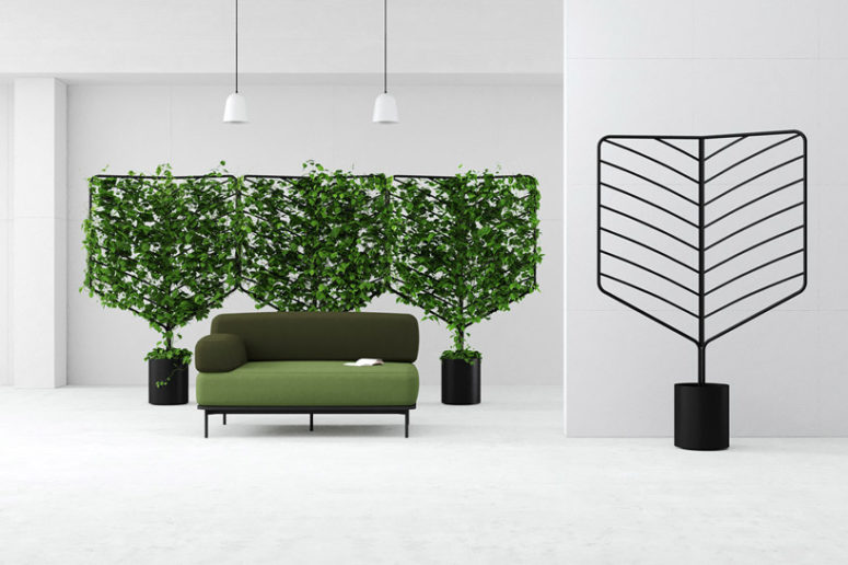Acacia, a design both squared and angled acts like a tree, allowing a plant to climb it’s trunk and expand across its branches