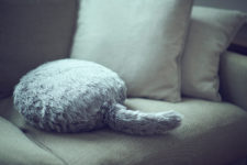 Get a gorgeous pillow with a tail and enjoy relaxation and its warmth
