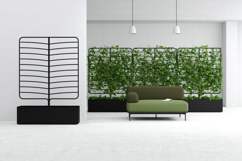 The screens can be used to create a wall of greenery within an interior