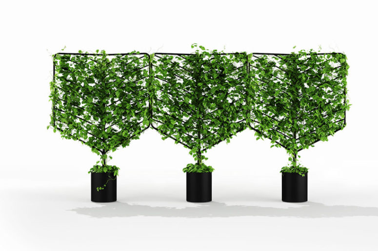 The botanical planter screens create rejuvenating refuges surrounded by the unobtrusive lightness of nature