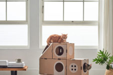 cool furniture for cats