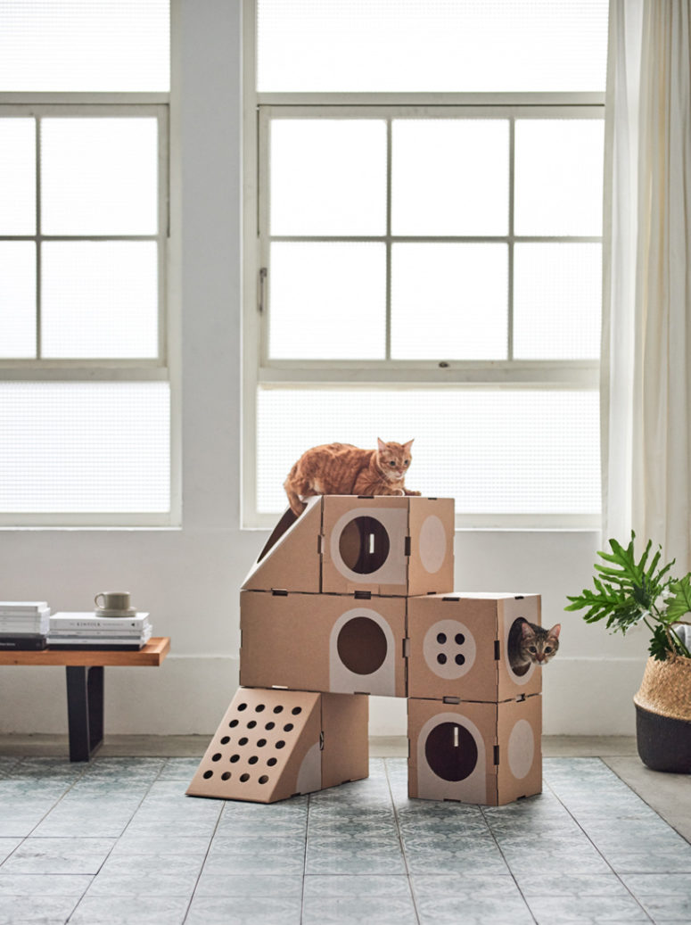 cool furniture for cats