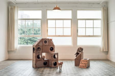 03 Build various arrangements according to the feline needs and their behavior
