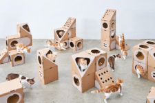 05 The pieces of the series will accomodate both giant cats and small kitties easily