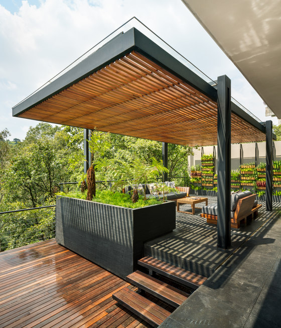 This terrace is part of a contemporary apartment in Mexico City and it looks as if it's outside the city and not in its center