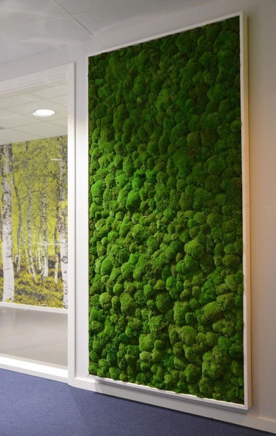 a framed moss wall will add freshness to the space, besides, it's easy to maintain
