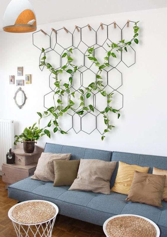 a cool hexagon trellis with climbing plants brings a refreshing feel to the space