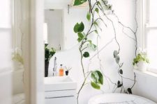 09 climbing plants will refresh your bathroom and make it feel like a space