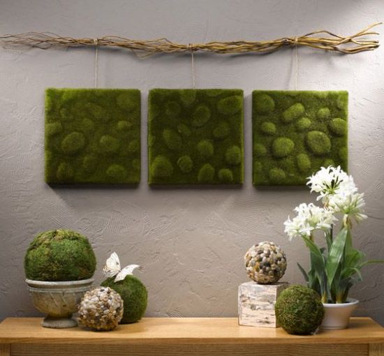 25 Edgy And Trendy Moss Home Decor Ideas Digsdigs