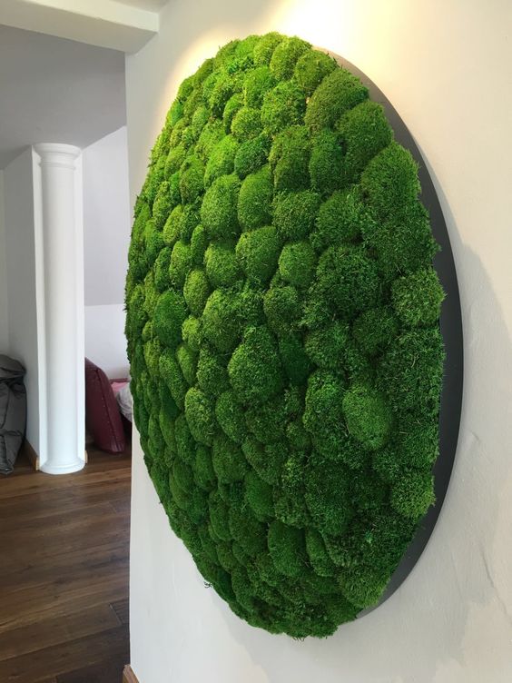 an oversized circle moss art piece is a bold and interesting decoration