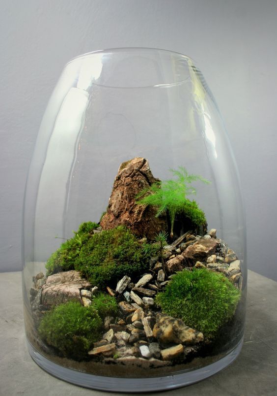 a landscape-style terrarium with moss balls, pebbles and rocks for a chic touch