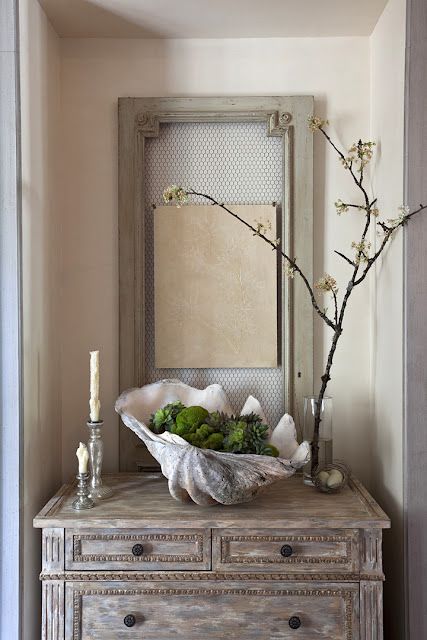 a stylish art piece of a porcelain shell, moss and magnolia cones for a chic modern look