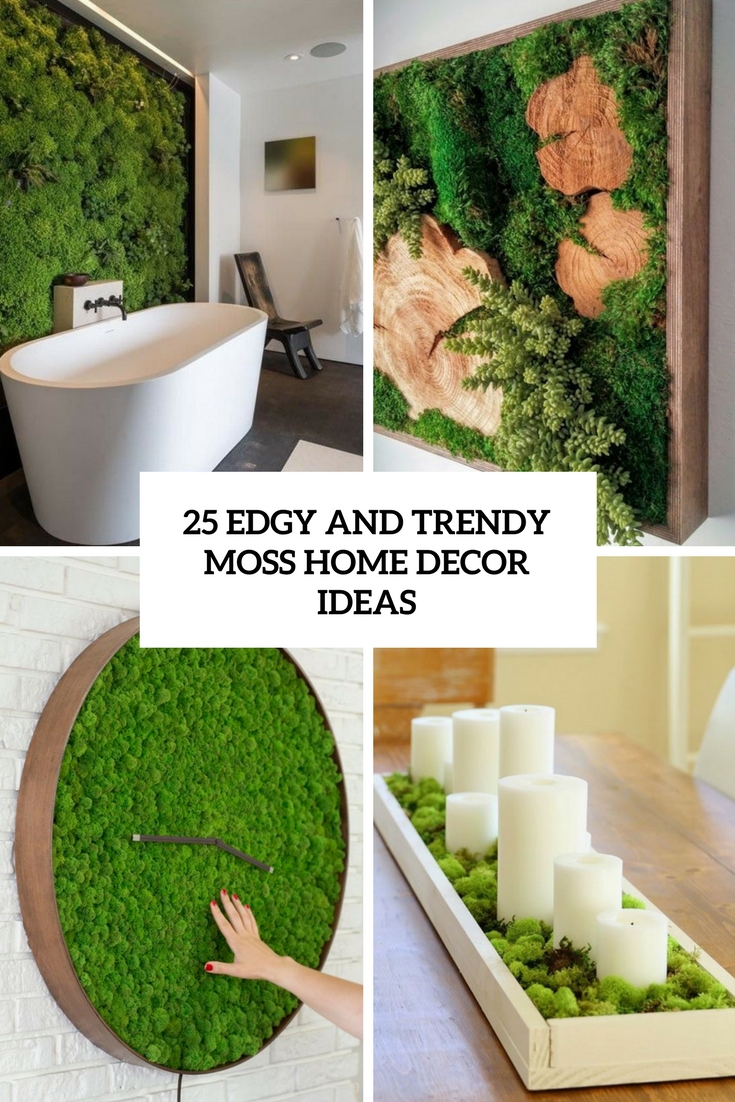 25 Edgy And Trendy Moss Home Decor Ideas