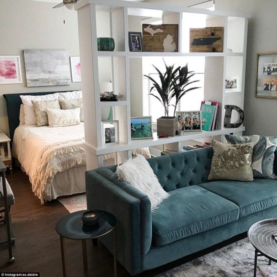 a strategically placed sofa and bookshelf separate the sleeping zone from the rest of the space