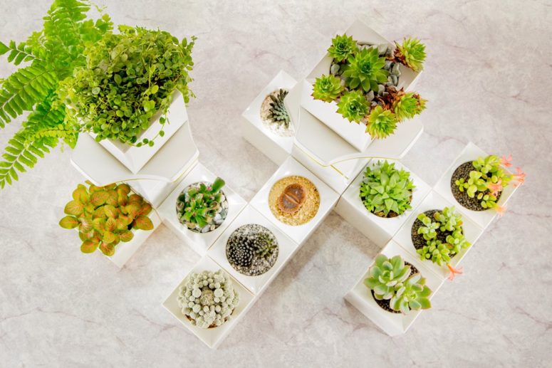 LeGrow is not only a home garden, it's a whole eco system, which provides everything you may need to grow some plants