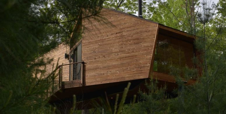 Contemporary Treehouse With Lake Views And Skylights