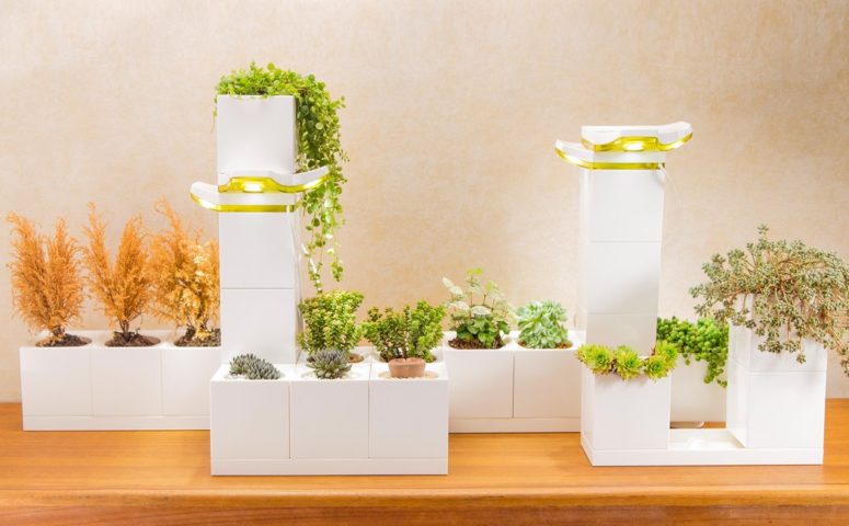 Arranging modular blocks as you like, adding lamps and humidifiers, you can actually grow anything you want