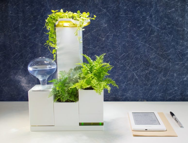 Create any combos that you like and even the most capricious plants will feel okay here
