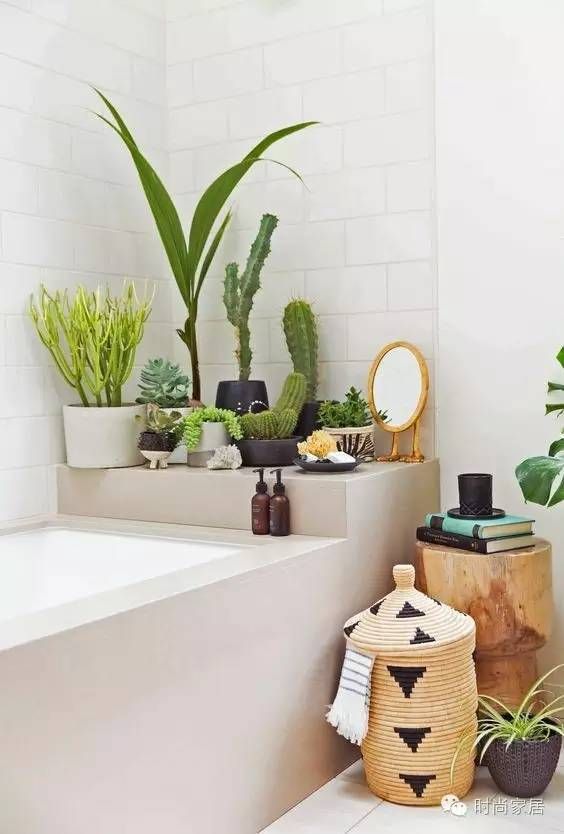 a modern boho space done with baskets, a wood stump and cacti and succulents in pots