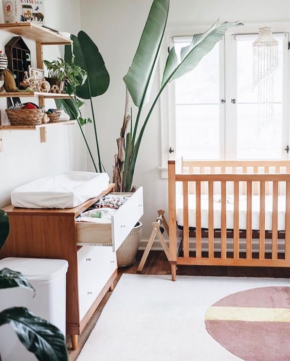 a peaceful nursery with natural wood furniture, a large torpical plant in a pot and much light is very welcoming