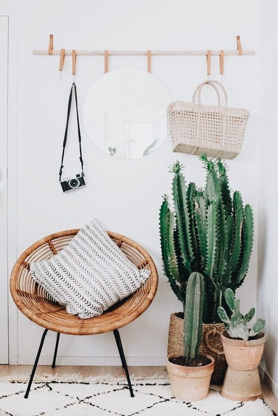 a wood and leather rack, a woven chair, cacti and succulents in terracotta pots