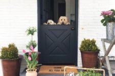15 keep your pets at home while having breezes and fresh air inside with a comfy Dutch door