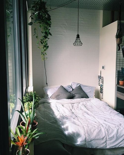 place potted plants and hanging ones over the bed to enliven the space and make it inviting
