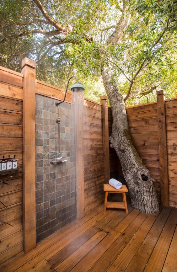 cladding the whole shower space with wood and incorporating a living tree makes the shower feel spa-like