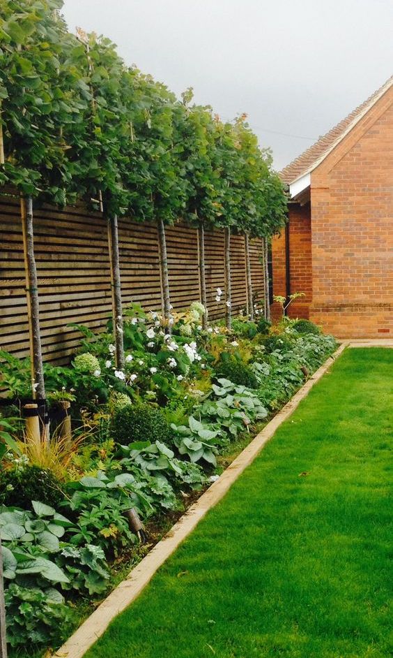 a wooden plank wall with greenery over it and next to it makes the space very fresh and comfortable