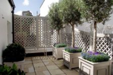 15 whitewashed trellises can be used as privacy screens and covered with plants or blooms comign up if you want