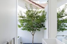 home with a small indoor courtyard