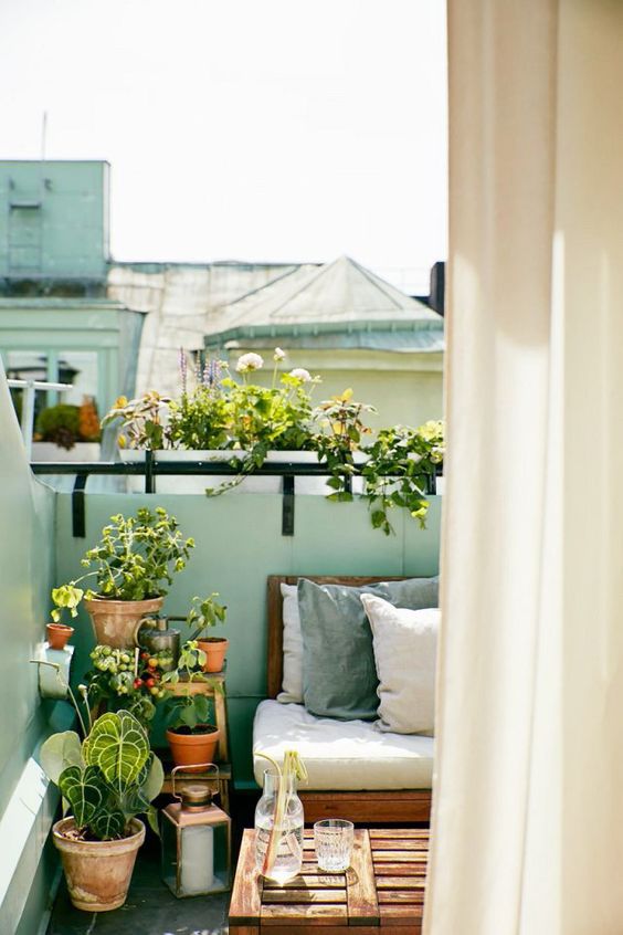 a very small balcony with a wooden crate as a table, an upholstered bench, a ladder and lots of potted greenery