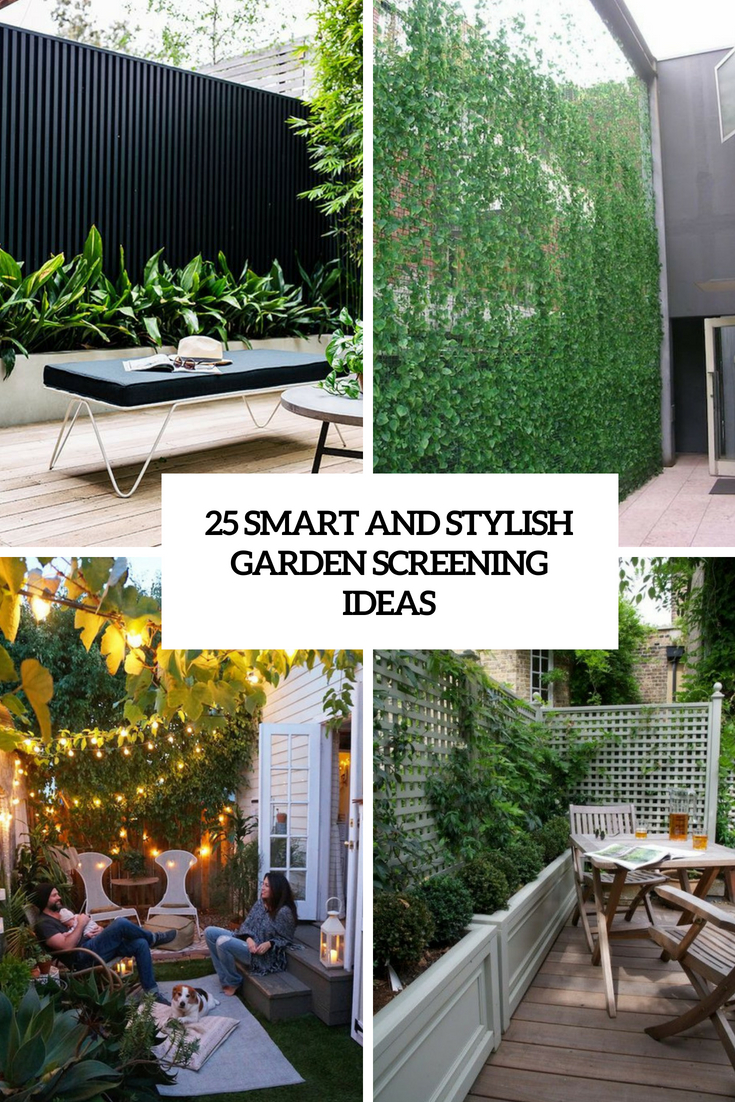 smart and stylish garden screening ideas cover