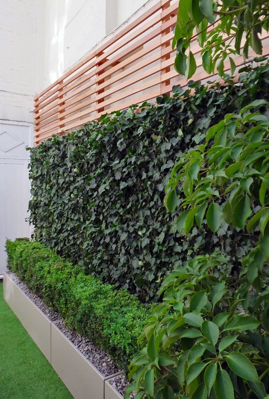 11 Smart And Stylish Garden Screening Ideas Decorholic Co
