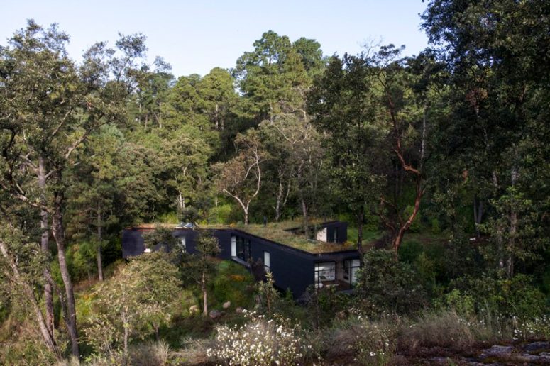 Contemporary Forest House Opened To Outdoors