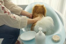 03 I bet this bathtub will be also suitable for cats, wash your pet with comfort anytime