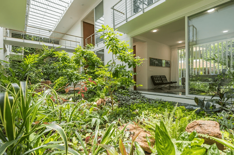 gorgeous courtyard A lush internal courtyard looks like a real garden and helps to establish a connection to nature