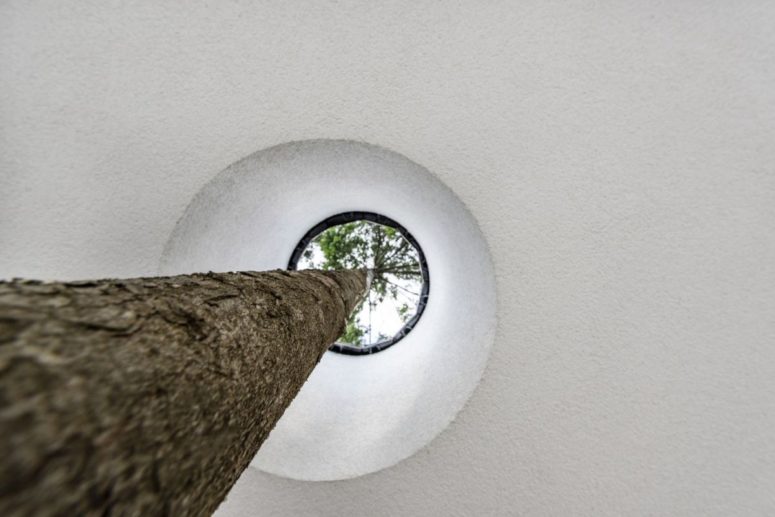 The trees existent on the site were preserved and allowed to grow through the decks and roofs of the house