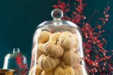 02 a cloche filled with mini white pumpkins is a great last minute decoration for fall and Thanksgiving parties that looks very natural