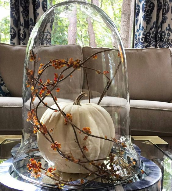 a cloche with a single white pumpkin and orange blooms on branches is a classic fall idea