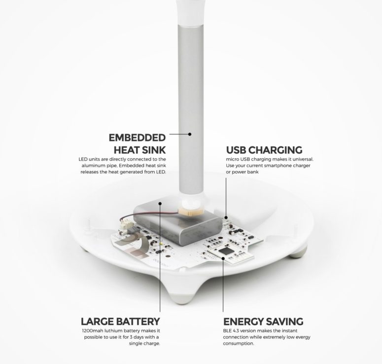 This is what's inside the lamp