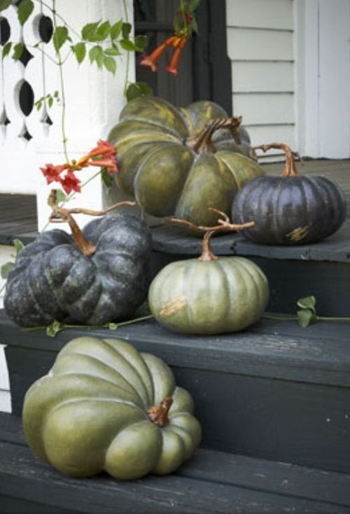 ugly green and black heirloom pumpkins placed on the steps make up a cool effortless Halloween porch