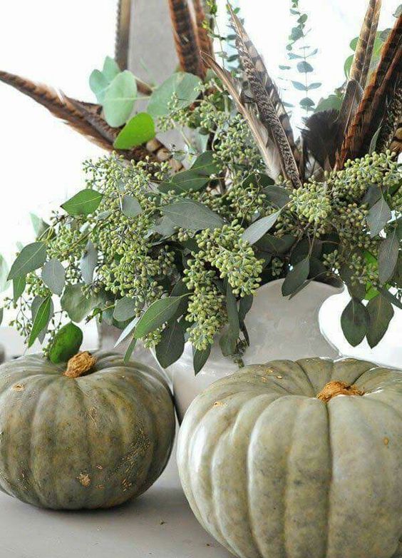 some heirloom pumpkins, seeded eucalyptus and feathers will make up a nice Thanksgiving display with a boho feel